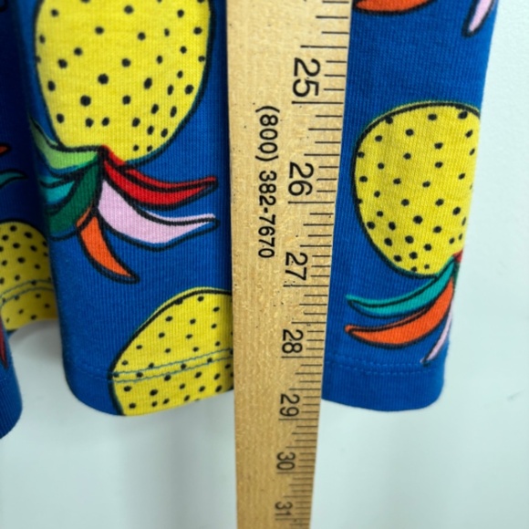 Hanna Andersson Dress 10 Chasing Summer Sundress Pineapple Pockets School Play - Picture 7 of 8